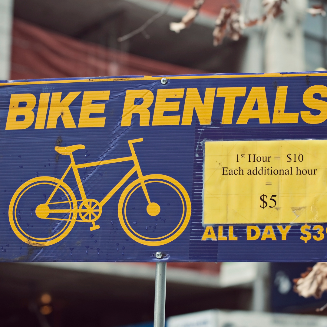 When Should a Bike Rental Company Replace Its Fleet?