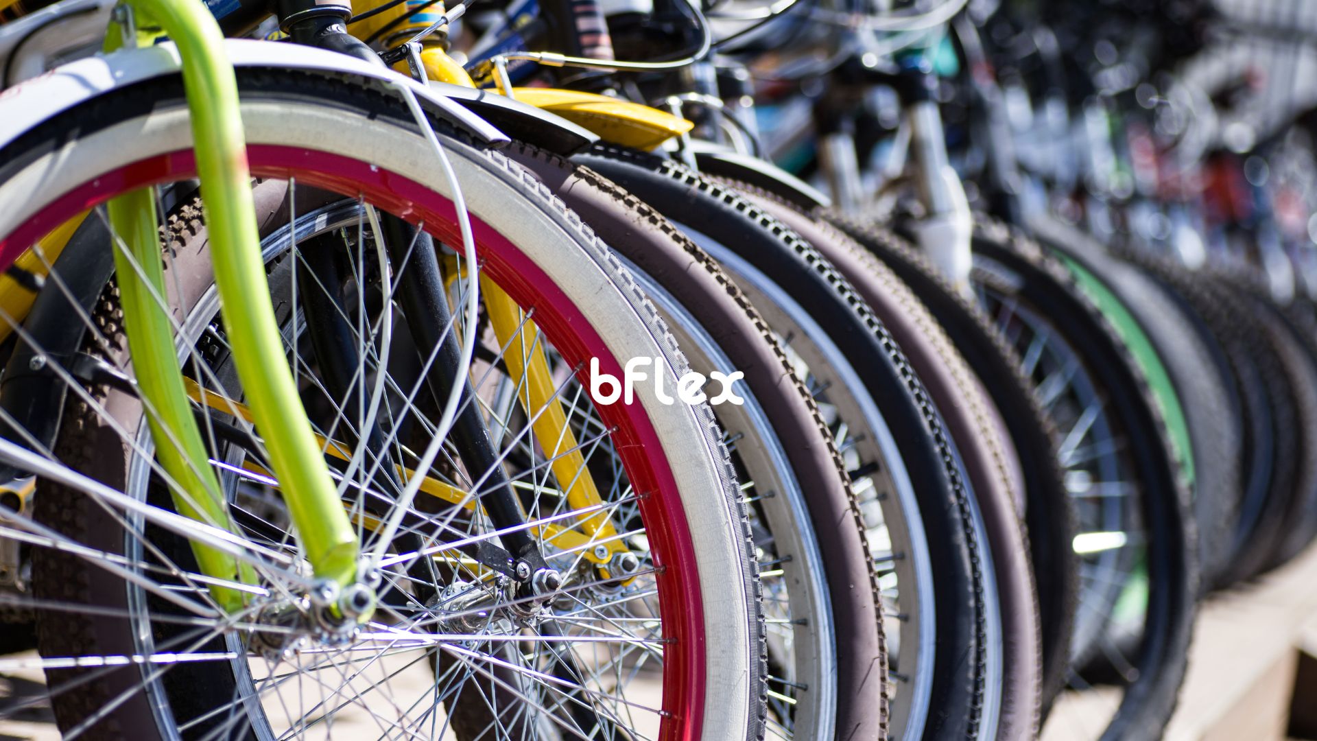 Come Avviare un'Attività di Noleggio Biciclette e Tour in Bici nel 2026