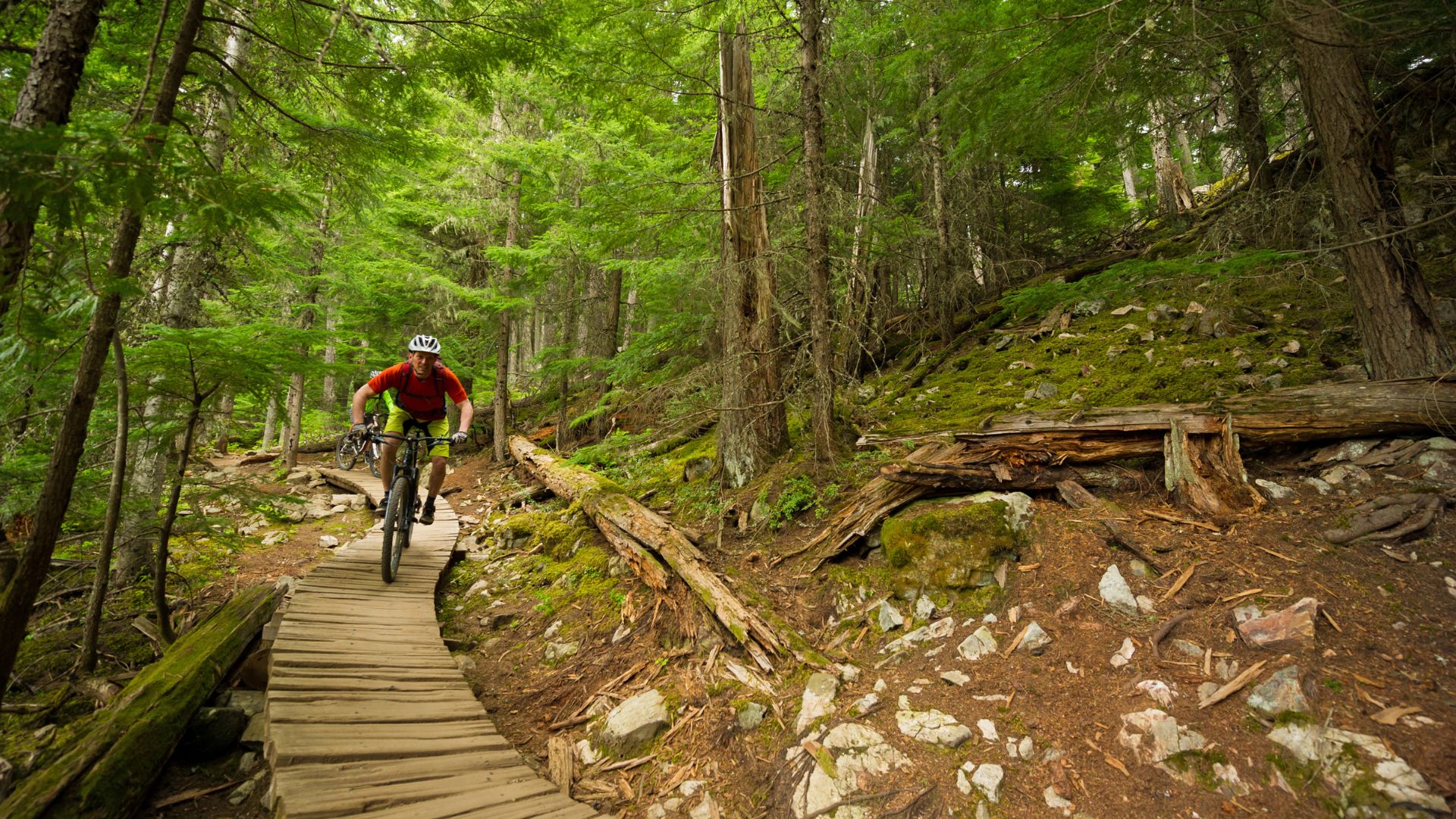Biciclette Elettriche Premium con gli Sconti Più Grandi