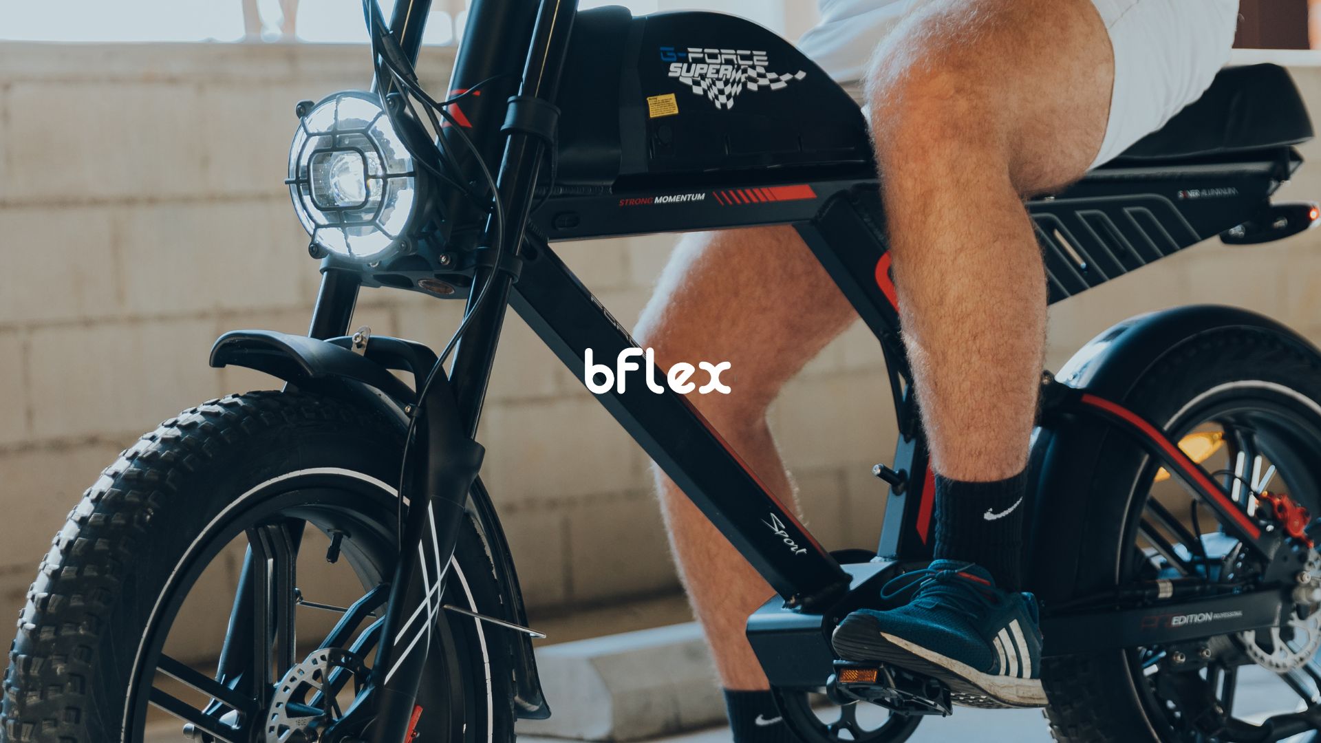 Elektrische Fatbikes