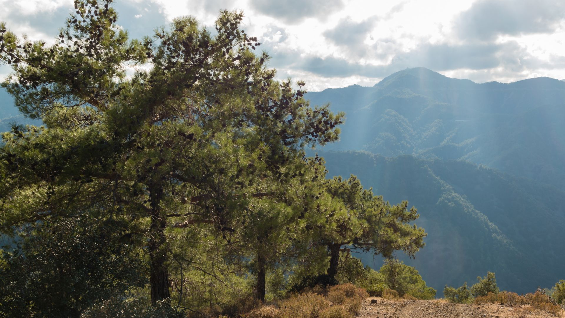 Troodos Mountains
