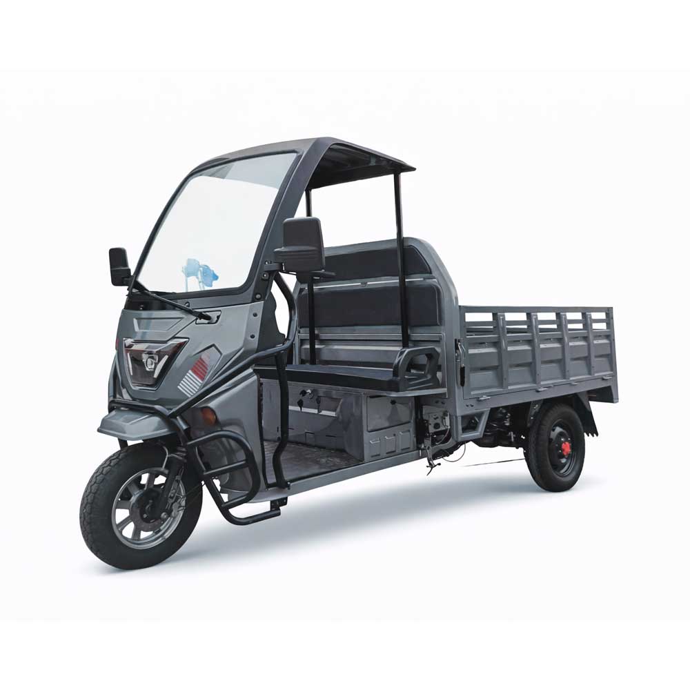 E-RIDE CARGO ROOF DUO - Γκρι