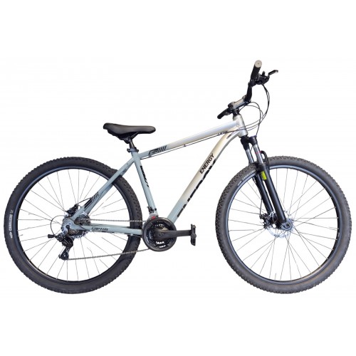 ENERGY MOUNTAIN BIKE CAPTUS 29'' METALLIC SILVER AND GREY GLOSSY Silver Grey