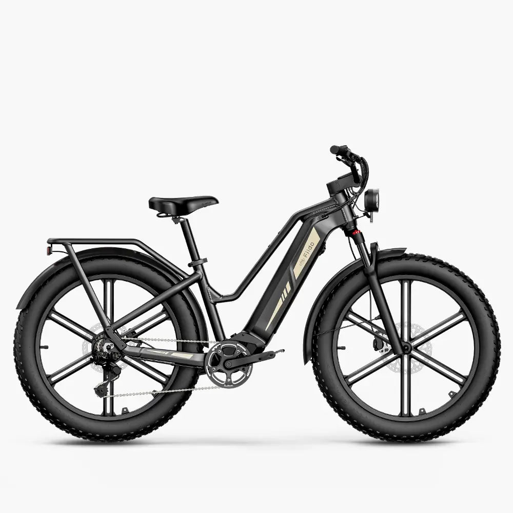 Rent the Powerful Electric Long Range Bike Fiido Titan in Elafonisos