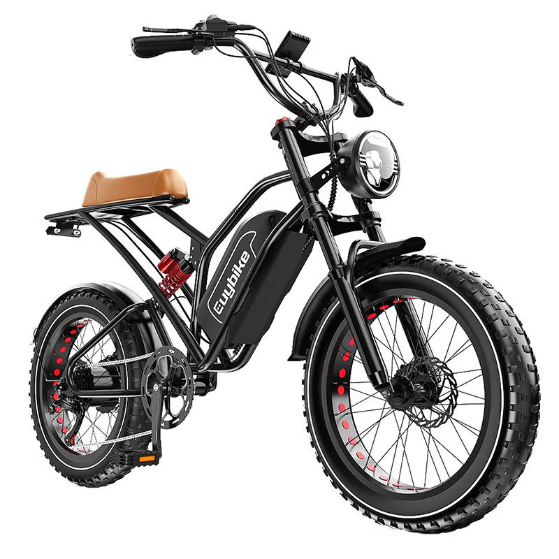 EuyBike S4 Powerful 1000w 48v Electric Fat Bike