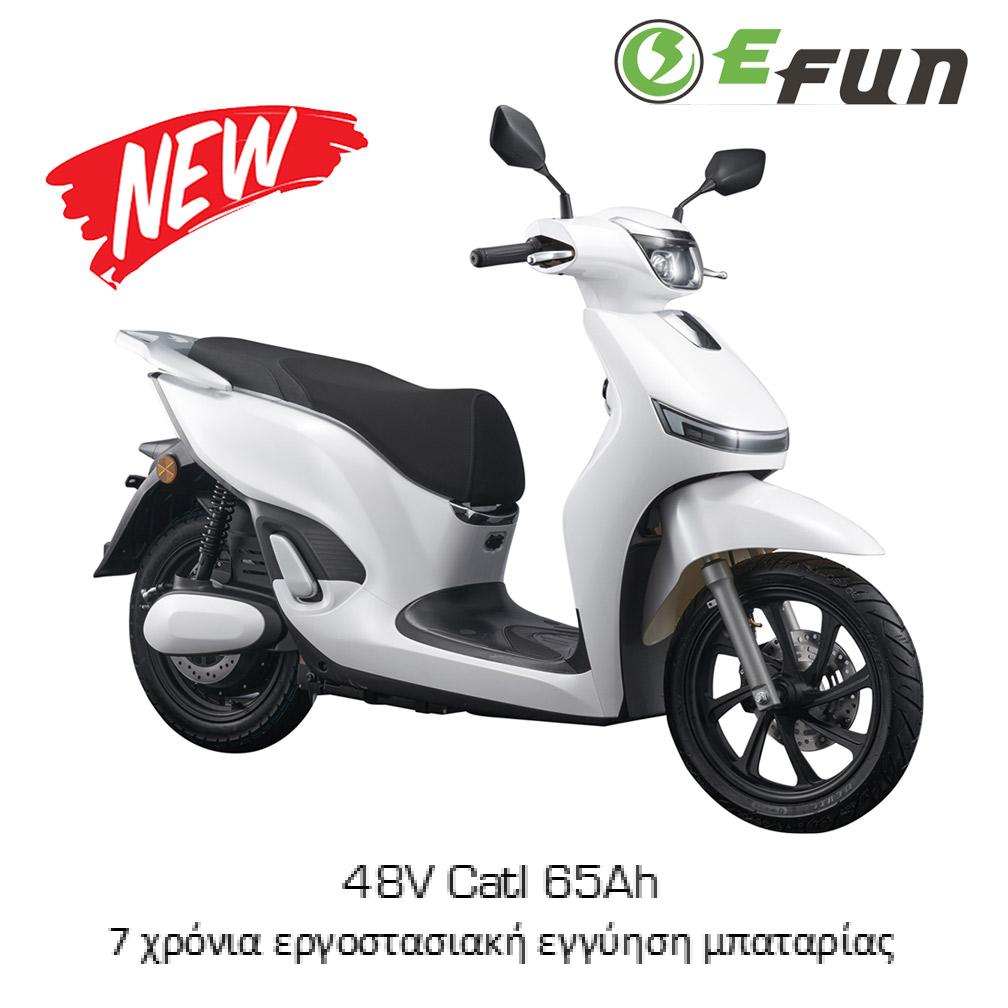 EFUN DEER 48V 3000W REMOVABLE BATTERY - Blue