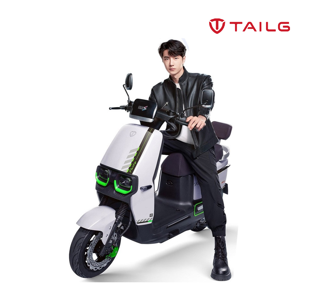 TAILG F52 LEAD ACID 45km/h - White