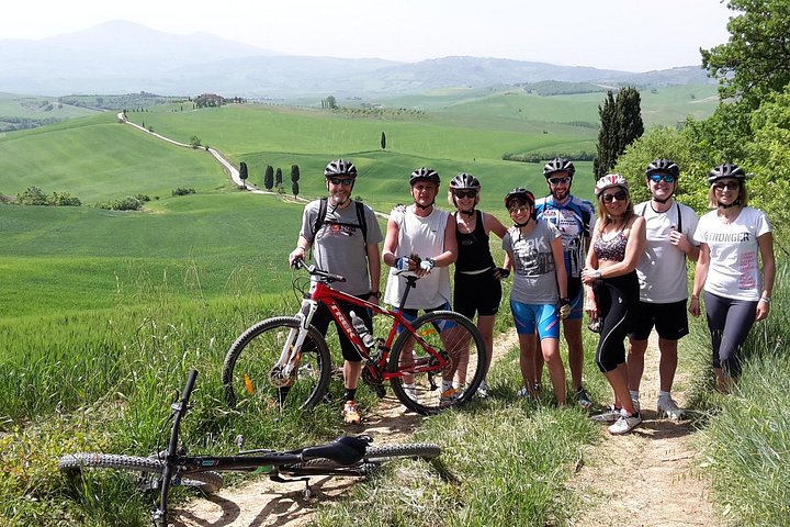 CYPRESS TREES TOUR Montalcino Italy