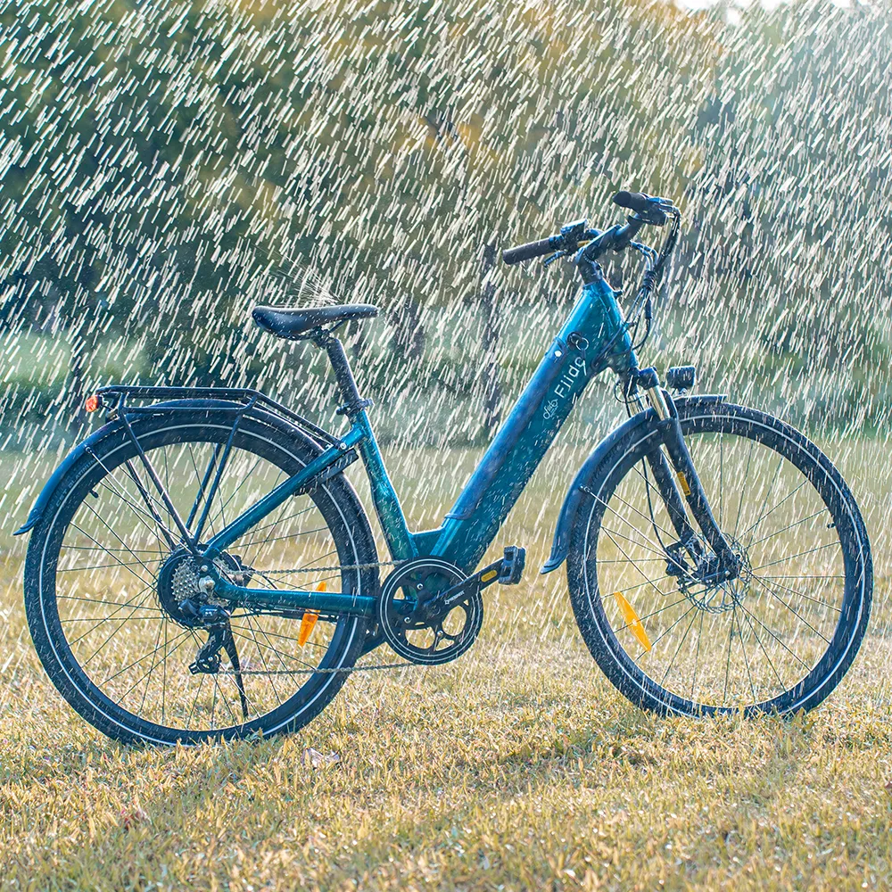 BICICLETTA ELETTRICA Fiido C11 City
