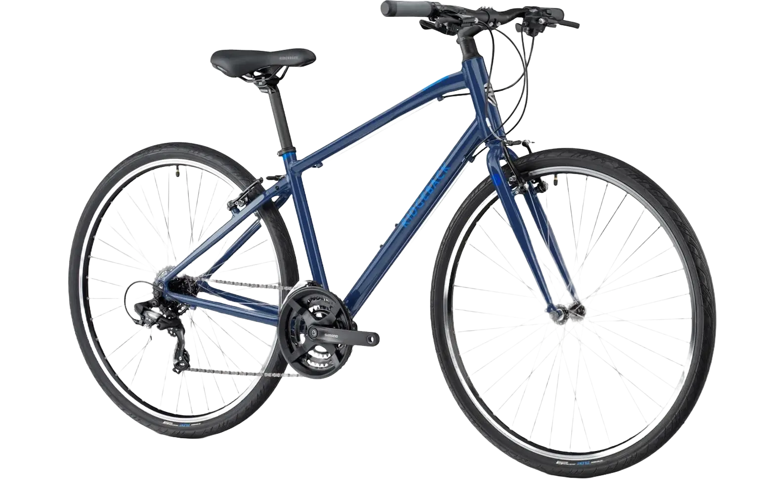 Rent the Ridgeback Motion Blue | XL – size Bike To Discover Glyfada 