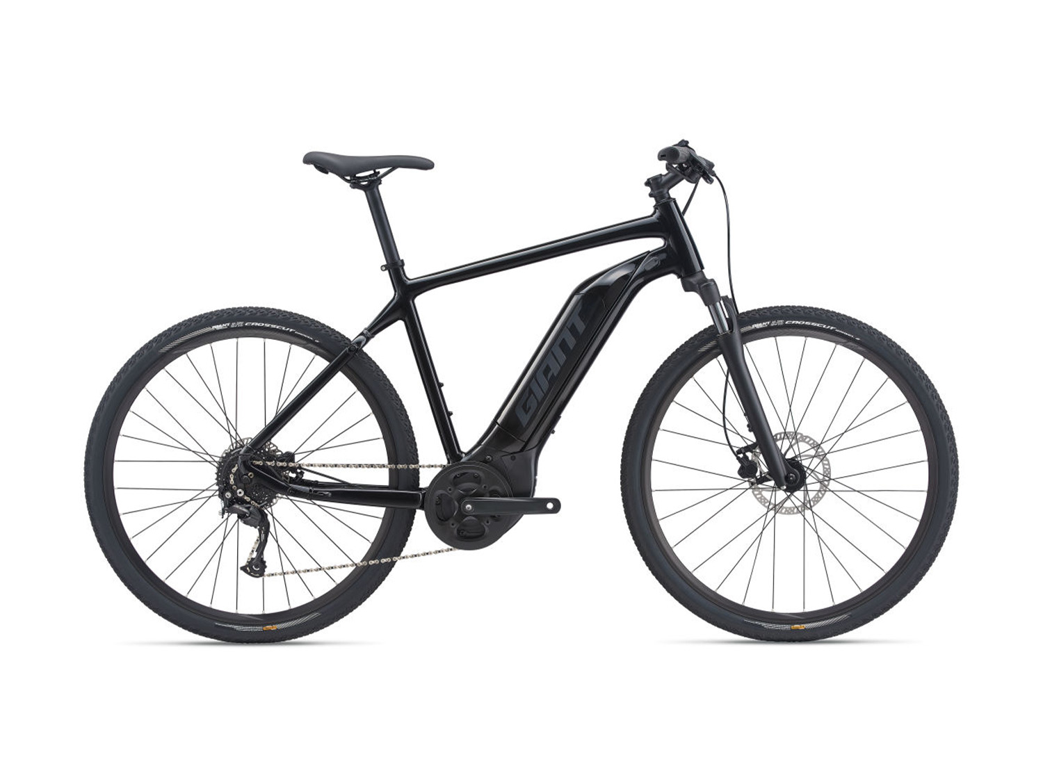 GIANT Roam E GTS