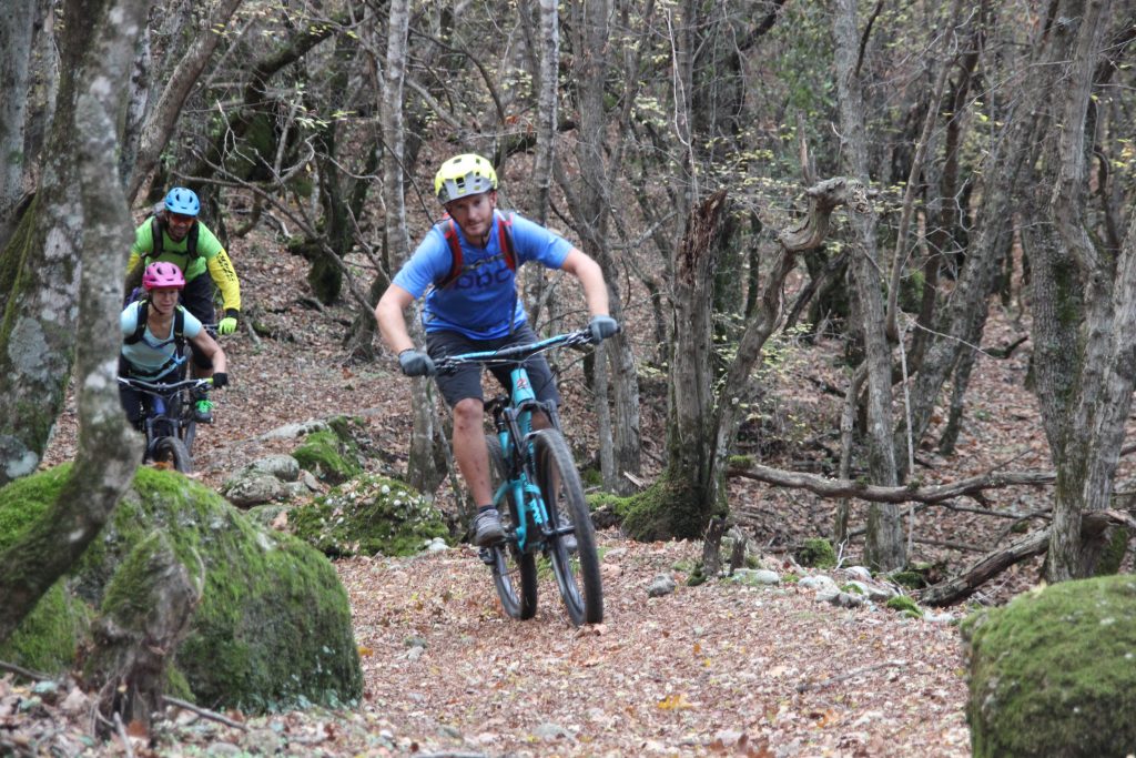 Mountain bike tours