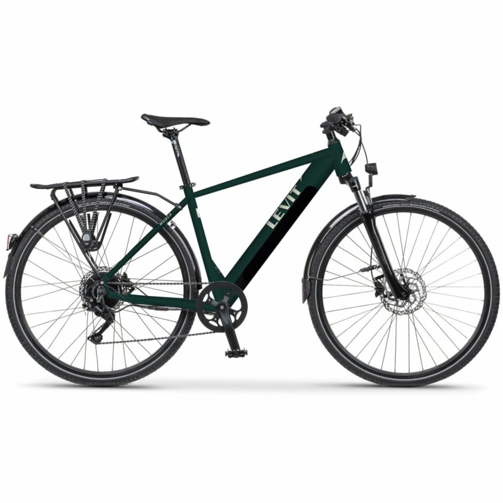 LEVIT MUSCA e-bike green gray pearl 19”