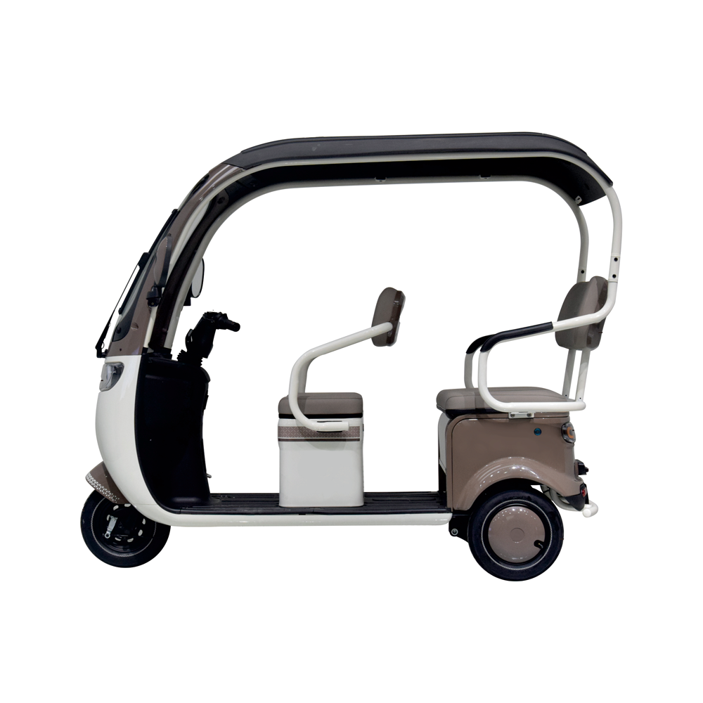 TAILG X7 LEAD ACID 25KM/H