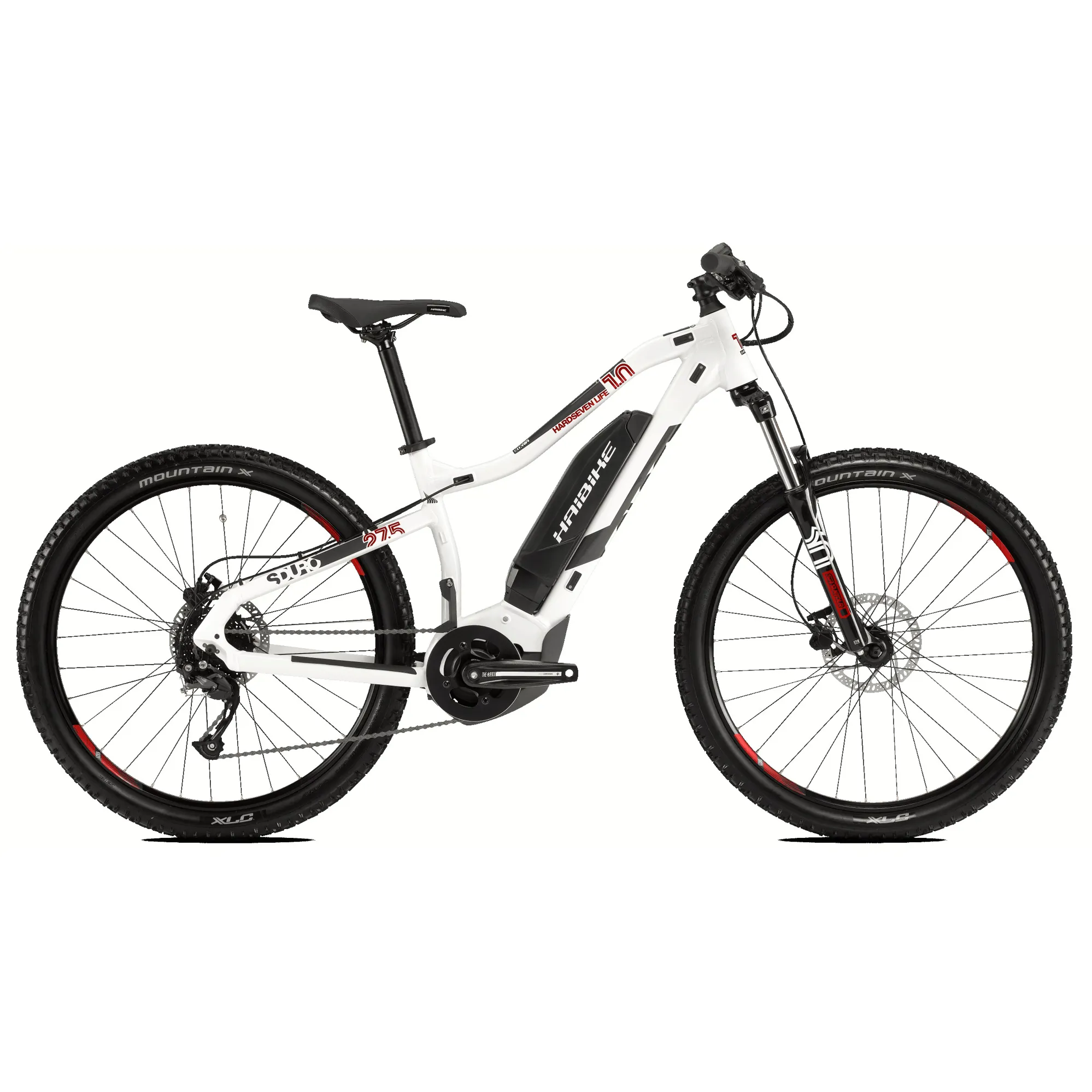 Rent an Electric MTB in Bologna