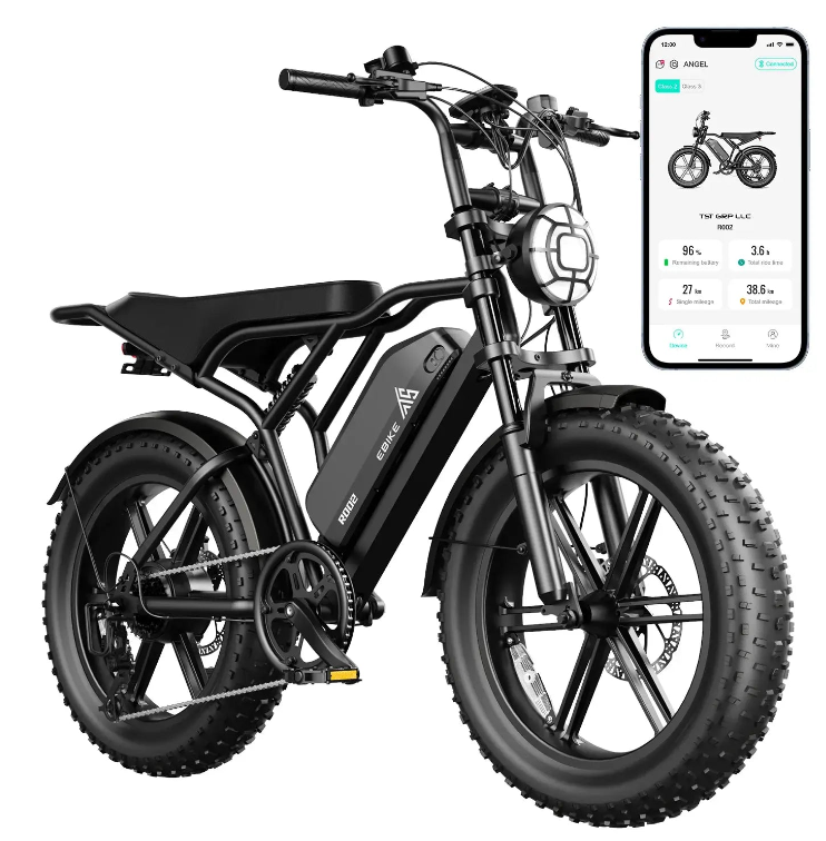 R002 Powerful Electric Fatbike