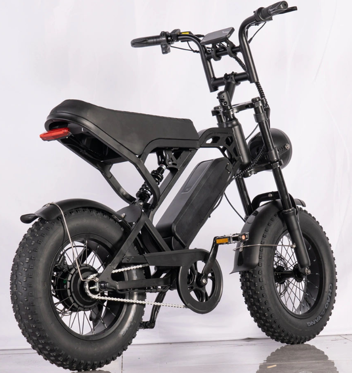 V20 Mini Electric FatBike