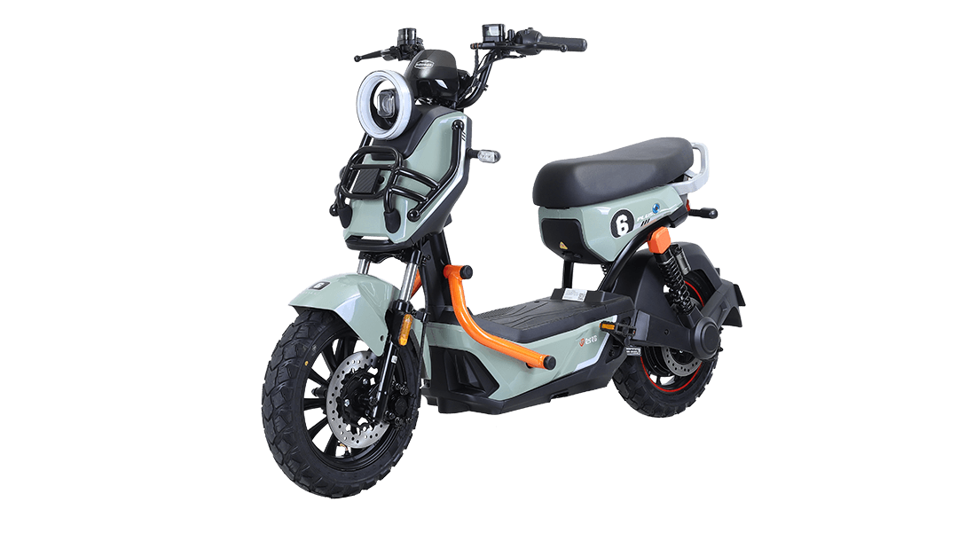 TAILG X51 LEAD ACID 25KM/H