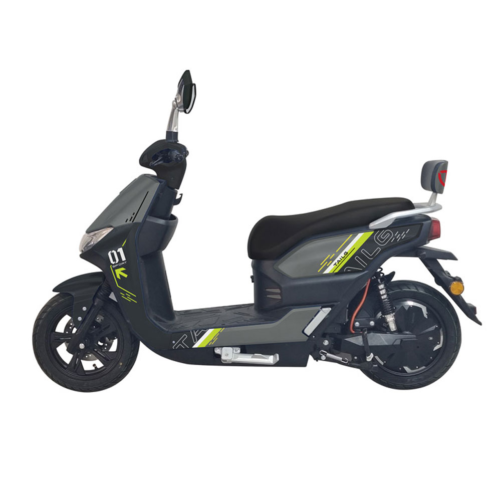Electric Electric Scooter Product 2000W #2004