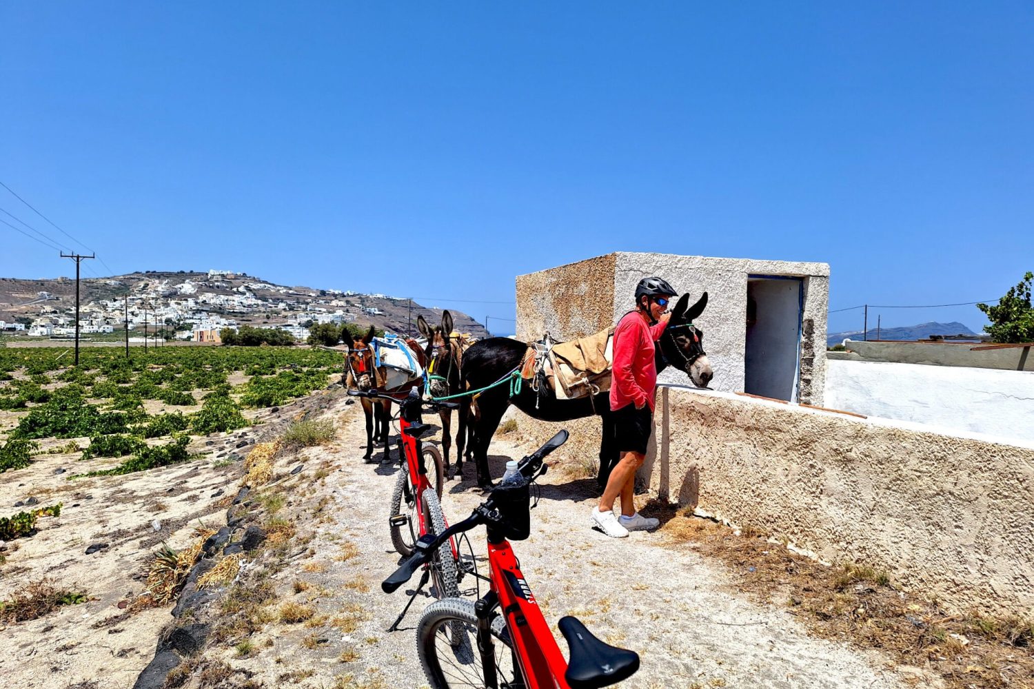 Tour Mattutino in E-Bike a Santorini