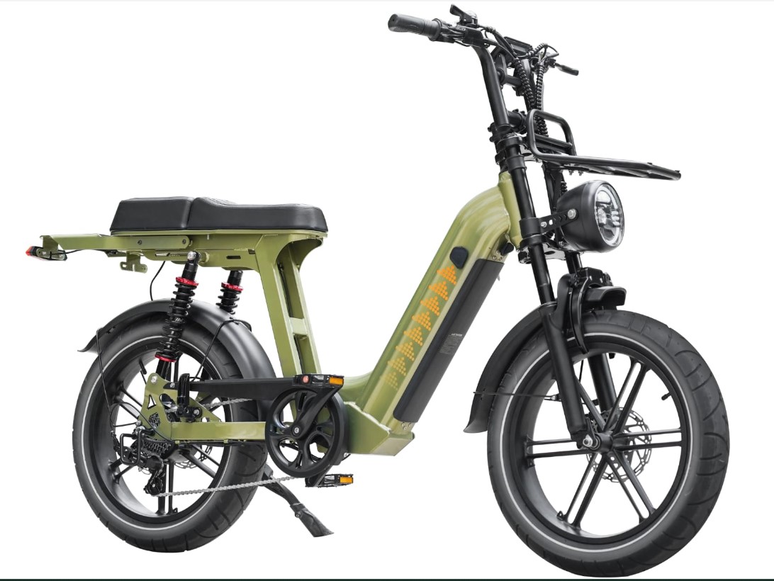 De Sterke Elektrische Fat Bike C28