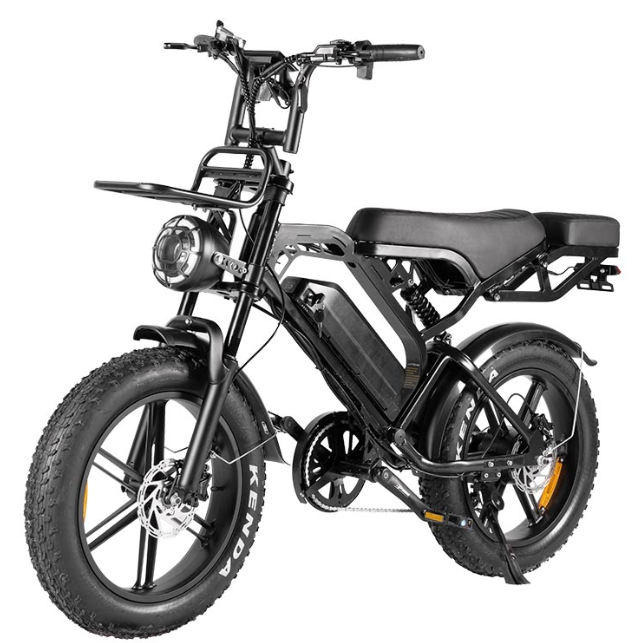 The Ultimate V20 Pro Electric Fatbike