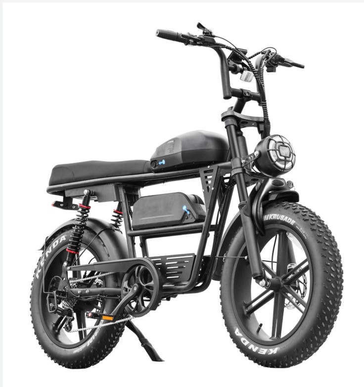 Ηλεκτρικό Fat Bike V29 με Δύο Μπαταρίες