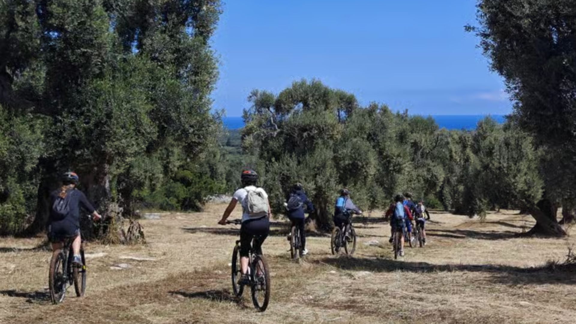 E-Bike Tour in Ostuni: Duizendjarige Olijfbomen, Masserie & Ondergrondse Olijfmolen