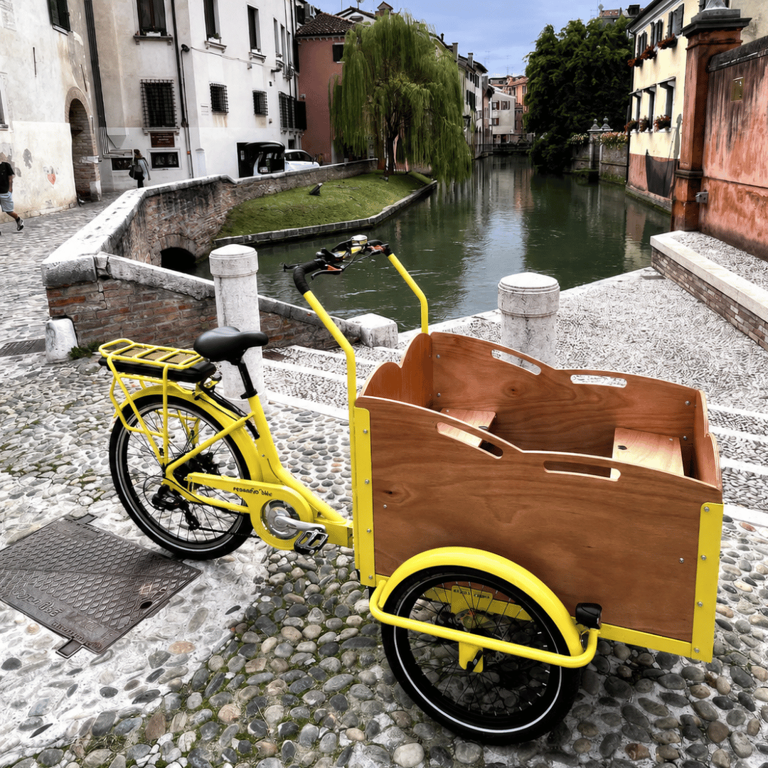 Panda Bike Cargo Bike 