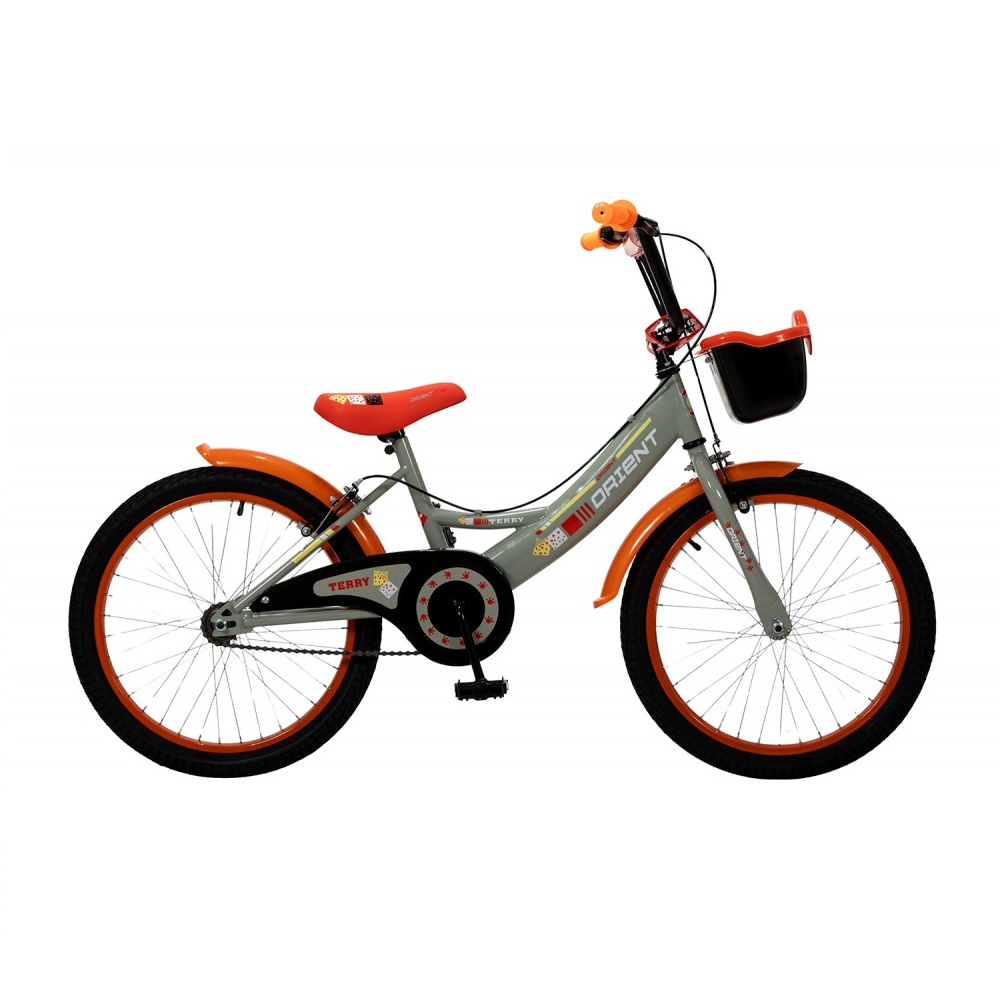 ORIENT TERRY 20” BICICLETTA BAMBINI GRIGIO (151368) 2025
