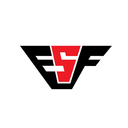 ESF Electromobility logo